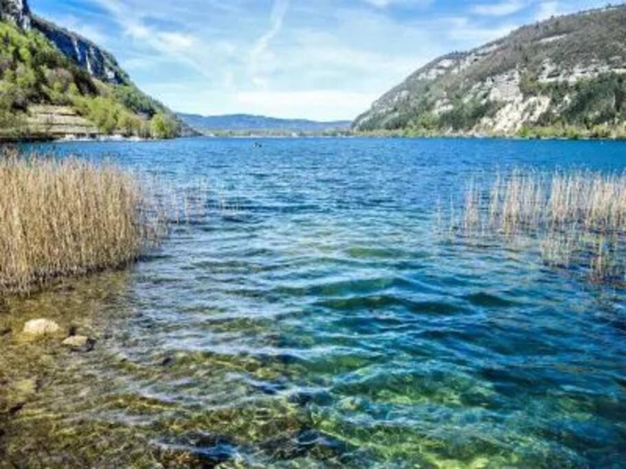 Joli Appartement En Face De Lac Nantua Exteriér fotografie